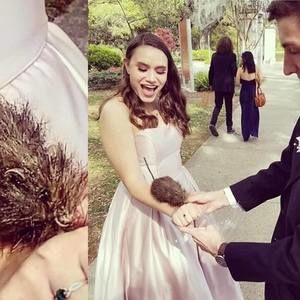 Meet your Posher, Jan